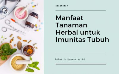 Manfaat Tanaman Herbal untuk Imunitas Tubuh