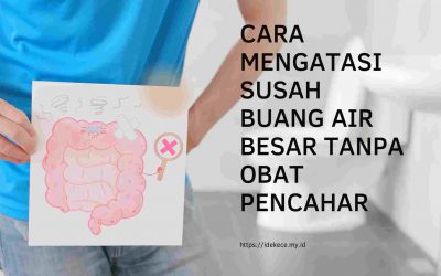 Cara Mengatasi Susah Buang Air Besar Tanpa Pencahar