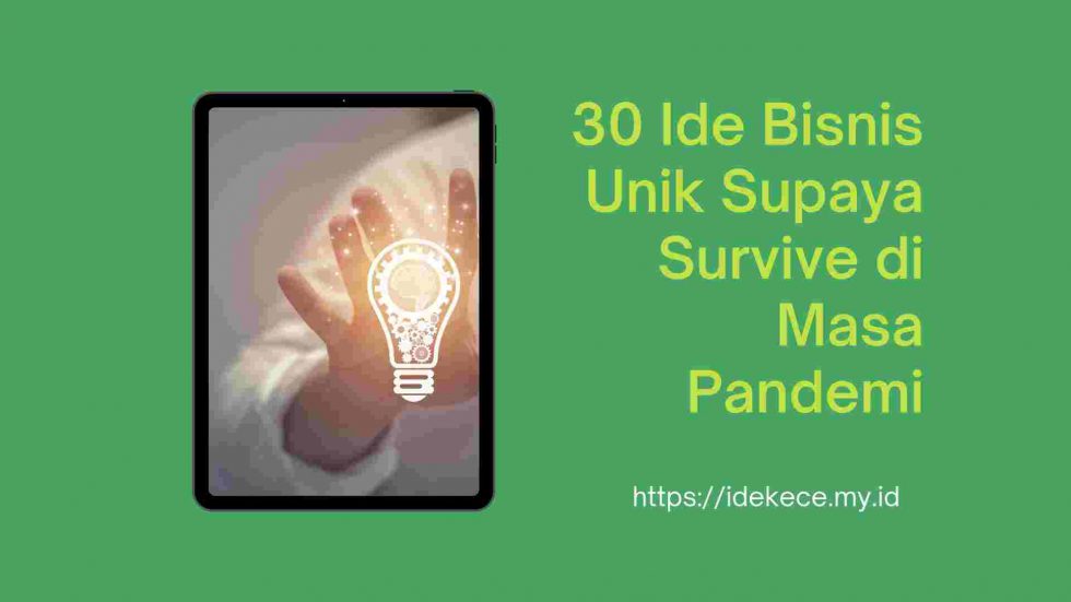 30 ide bisnis unik