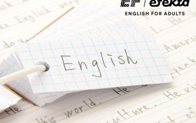 Rekomendasi Tempat Les Bahasa Inggris: Offline, Online, atau Hybrid, Mana yang Lebih Cocok – EF EFEKTA English for Adults